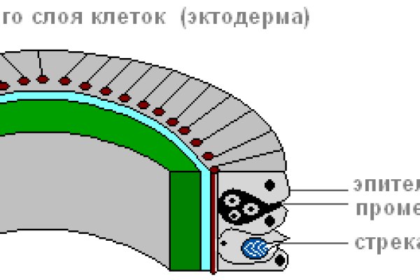 Кракен актуальная ссылка