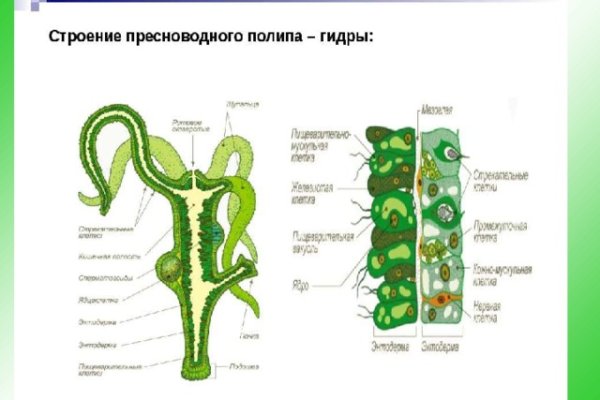 Кракен не грузит