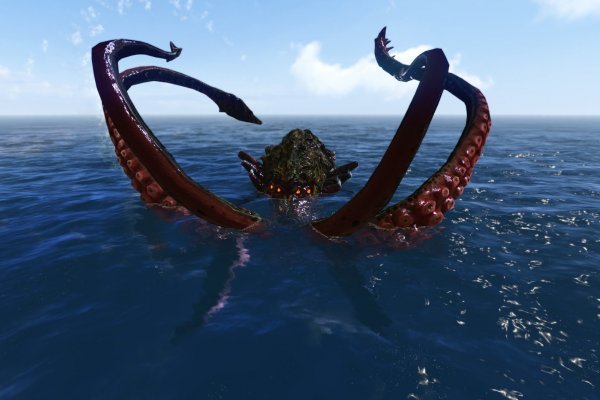 Kraken 24 top