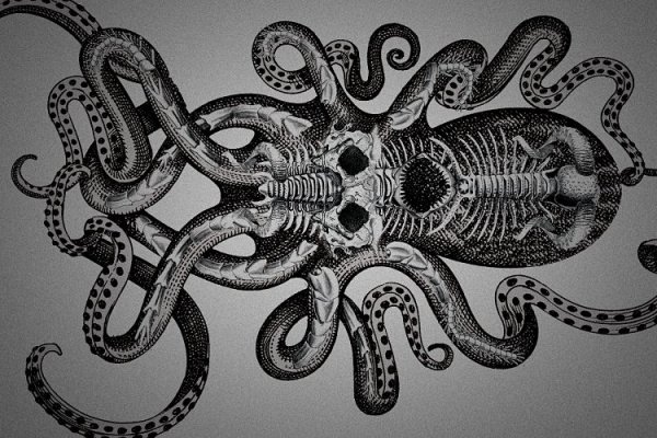 Kraken 17 at net