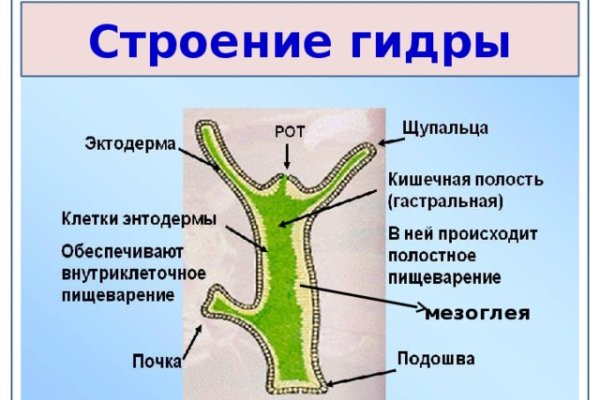 Кракен даркнет ссылка зеркало