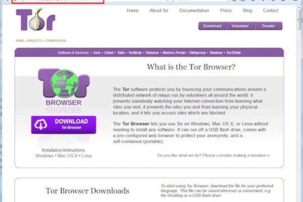 Kraken site
