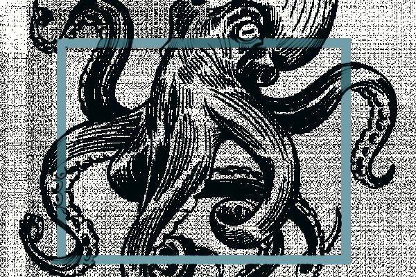 Kraken istand onion